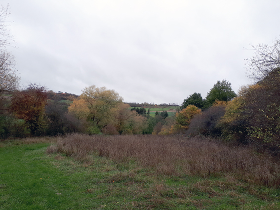 Stacks Image 72